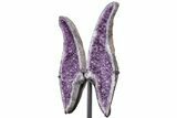 Purple Amethyst Wings on Metal Stand - Large Points #209257-18